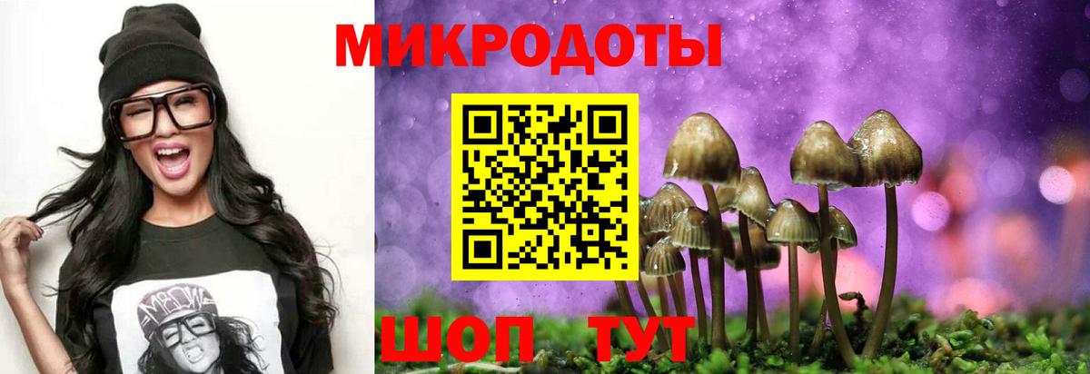 Галлюциногенные грибы Psilocybine cubensis Алексин